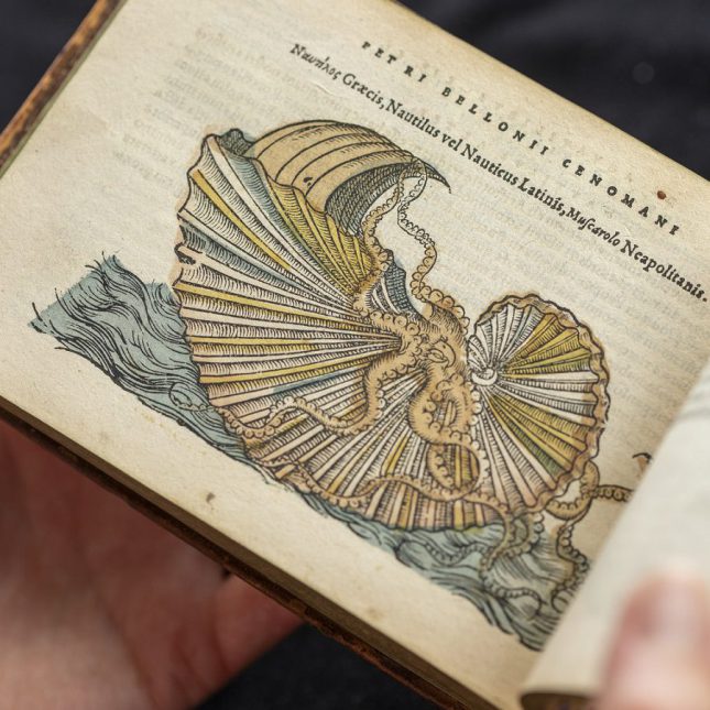 Book from the Cole Library