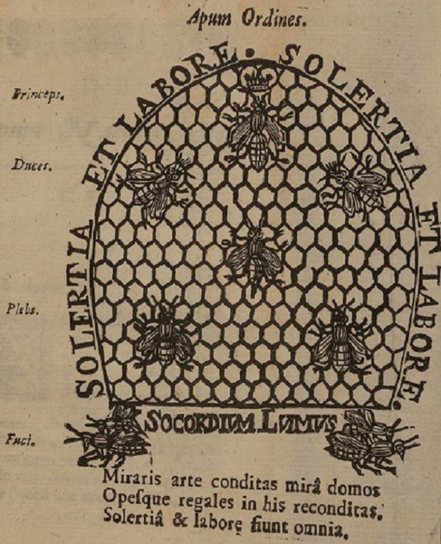The Queen Bee: a new discovery
