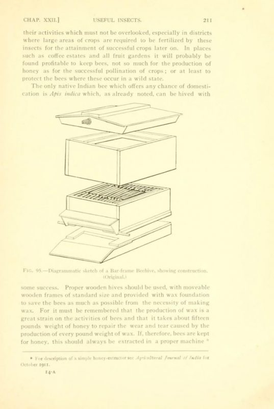 Beehives in India: Bees and Empire