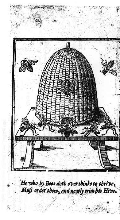The Ordering of the Beehive