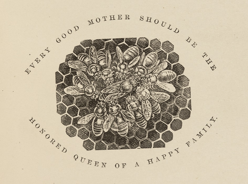 Developments in Beekeeping: Controlling the Queen Bee