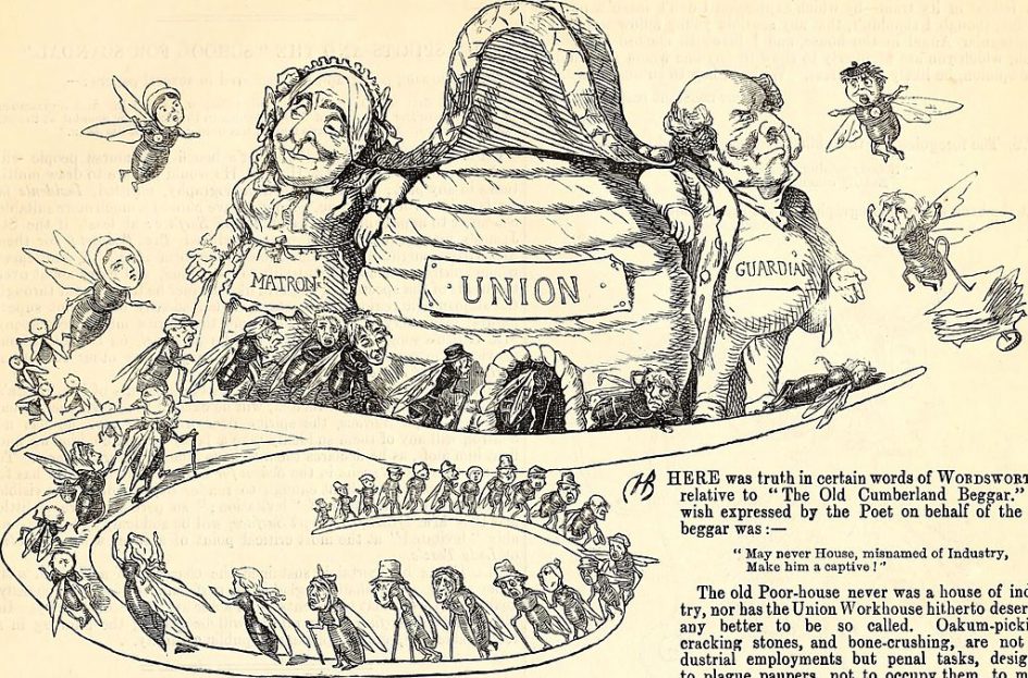Beehives in Satire: The Natural Beehive
