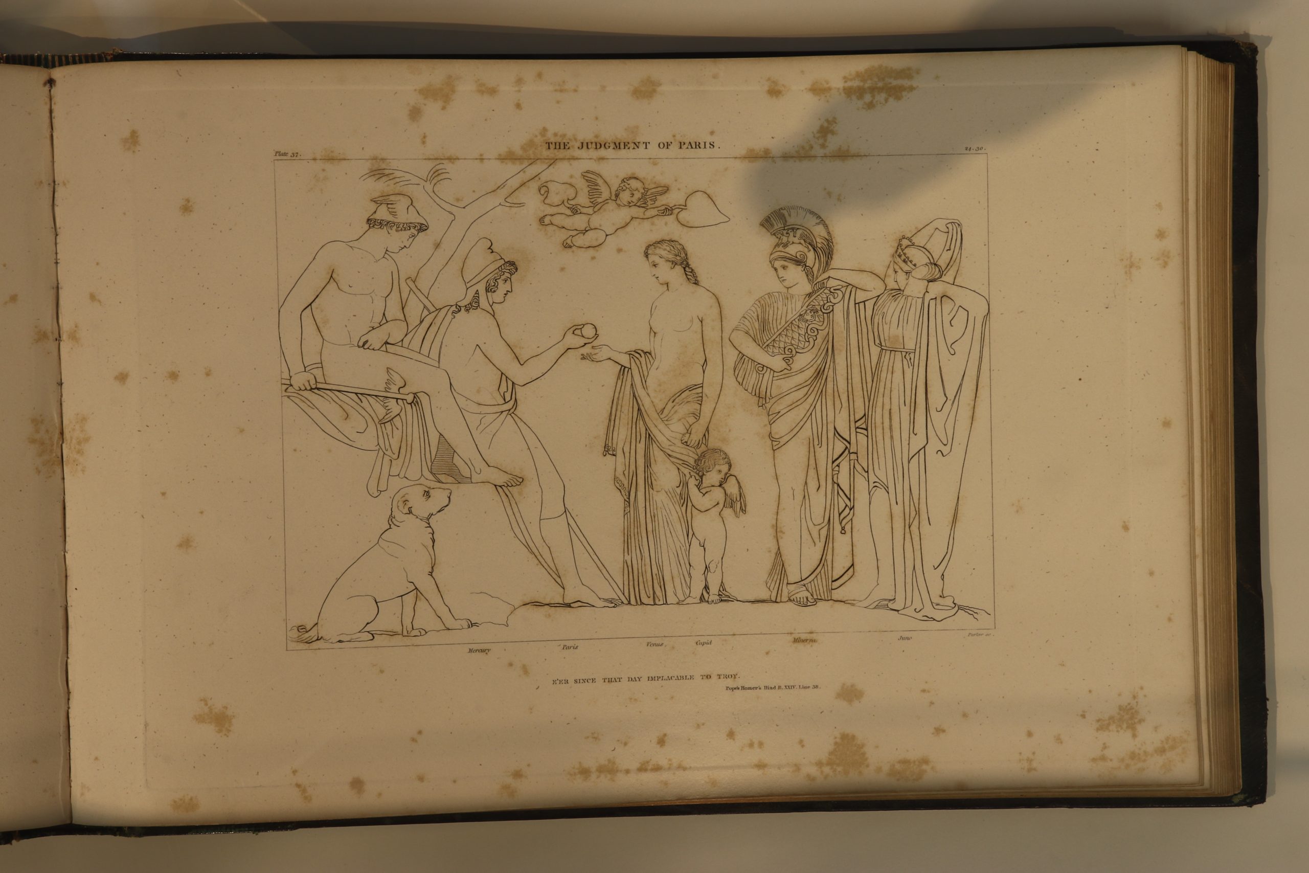 The judgment of Paris part 2